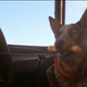 Image for article titled The 23 Most Tragic Pets in Science Fiction, Fantasy, and Horror